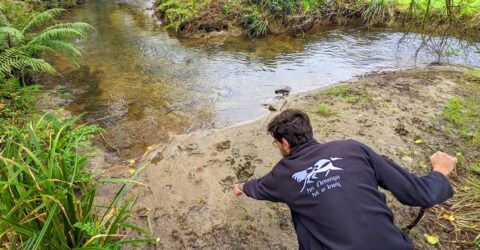 Atelier "Sur les traces des animaux" animé par le Parc d'Armorique dans le cadre de la journée "A la trace" à Pleyben le 29 mars 2025 ©M.Chaumien - PNRA